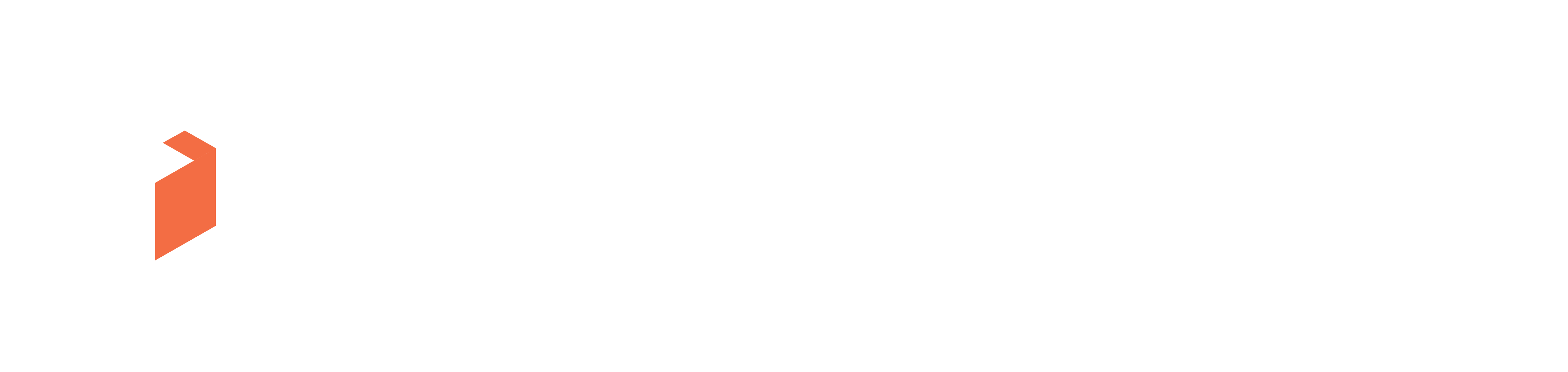 Footer Logo